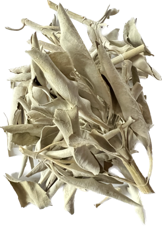 Weißer Salbei lose Blätter 25g