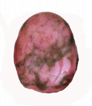 Rhodonit Anhänger in Tropfenform gebohrt Rhodonit Anhänger in Tropfenform gebohrt