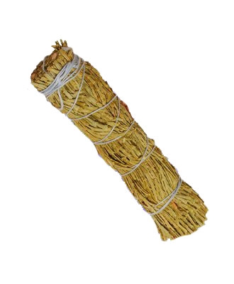 Zedernspitzen, gebunden