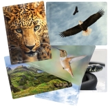 Kartenset um den "e;Heiligen Raum"e; zu öffnen. Kartenset um den "e;Heiligen Raum"e; zu öffnen.