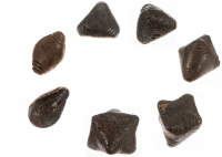 Chumpi Khuyas Set aus Meteorit 7 Apus